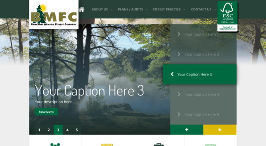 /Bancroft%20Minden%20Forest%20Company